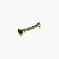 Gold-line grillz