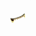 Gold-line grillz